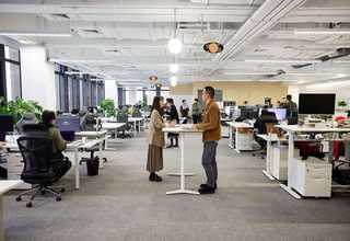 东营天然骨粉厂家