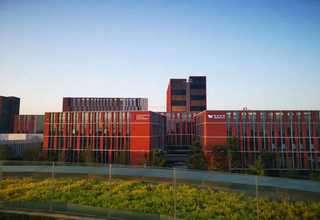 石家庄什么是中级经济师考试条件