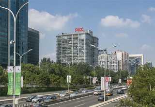 湖南冰雪容黄精哪个好